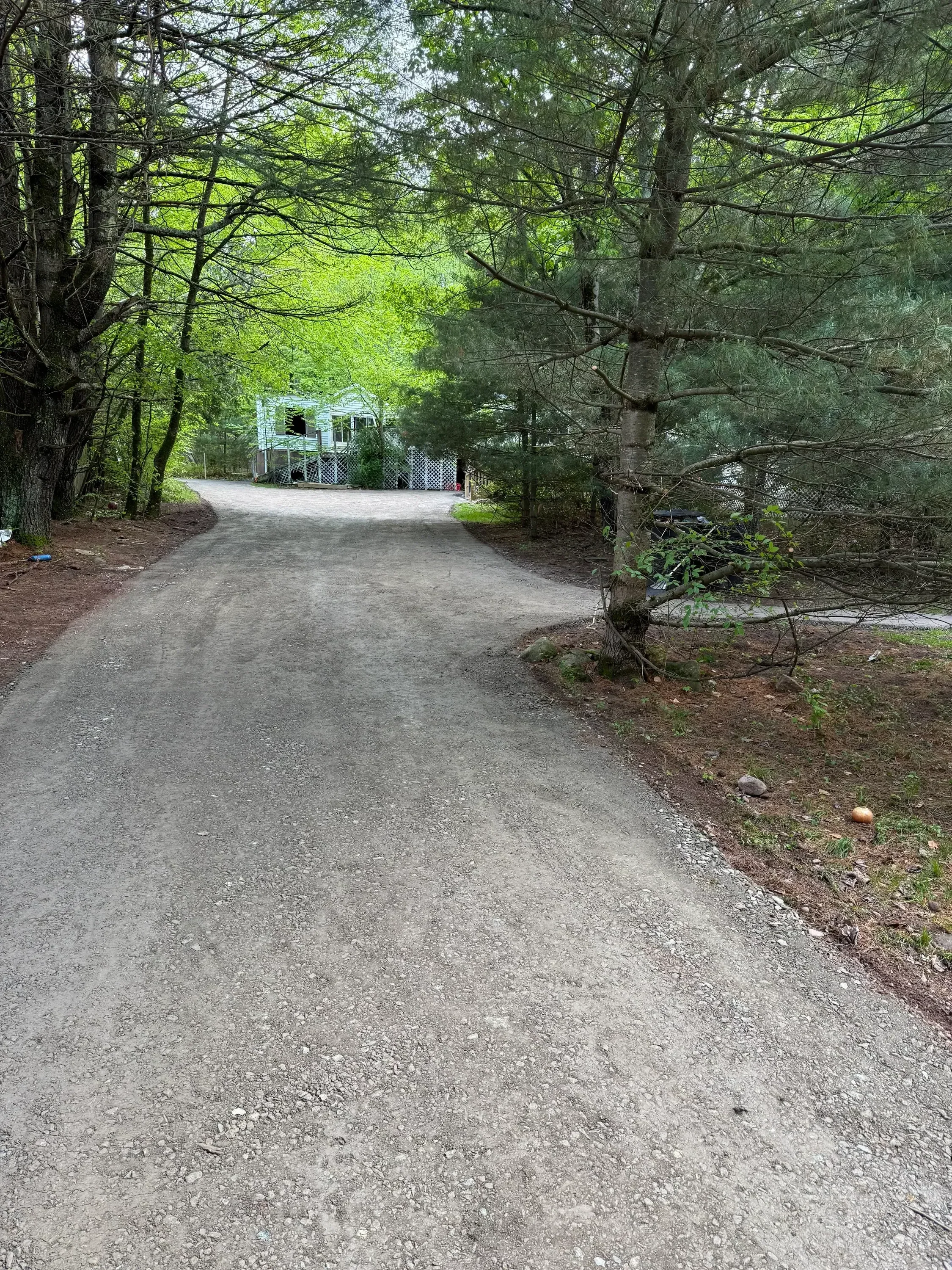 Newly paved asphalt driveway with drainage grading and landscaped borders