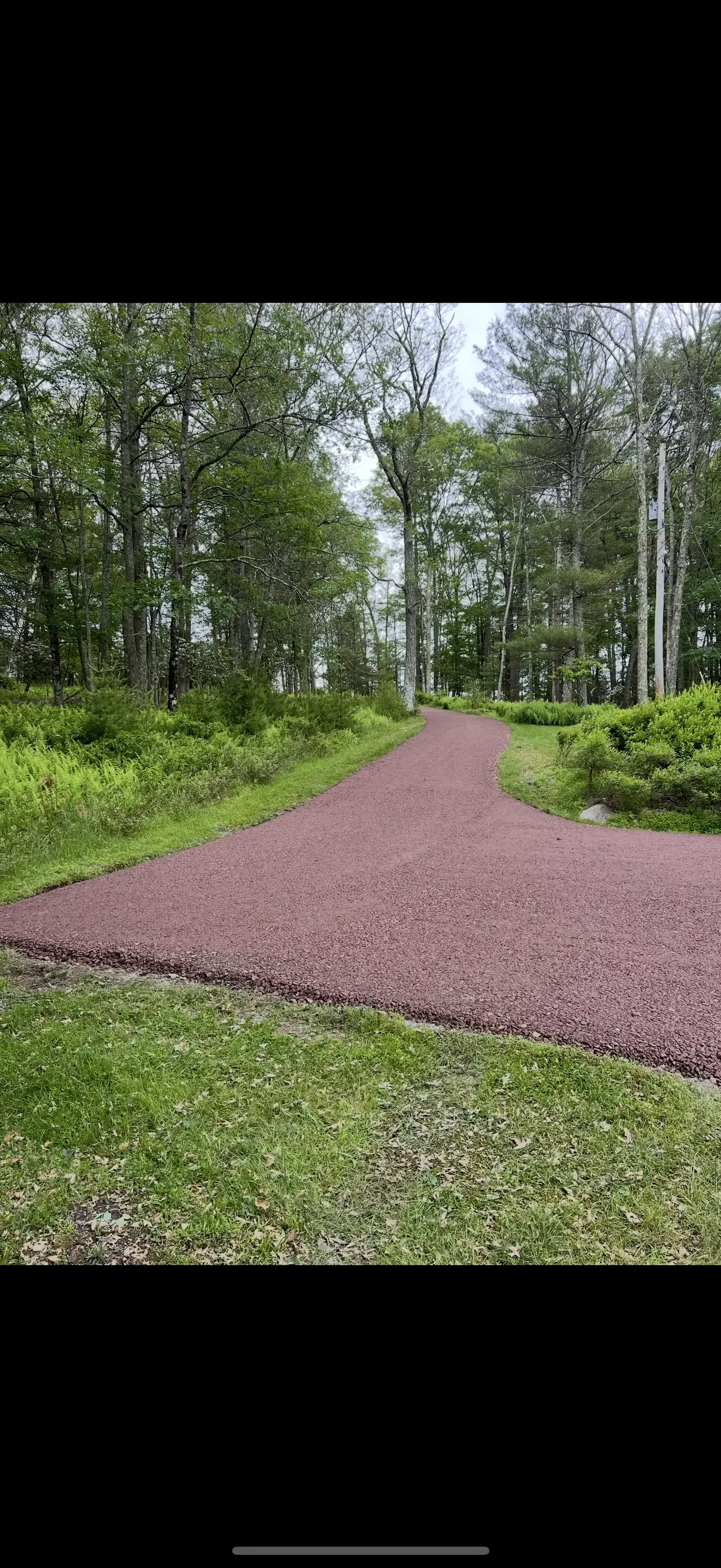 Curved asphalt driveway through wooded lot with mature trees and green landscaping borders