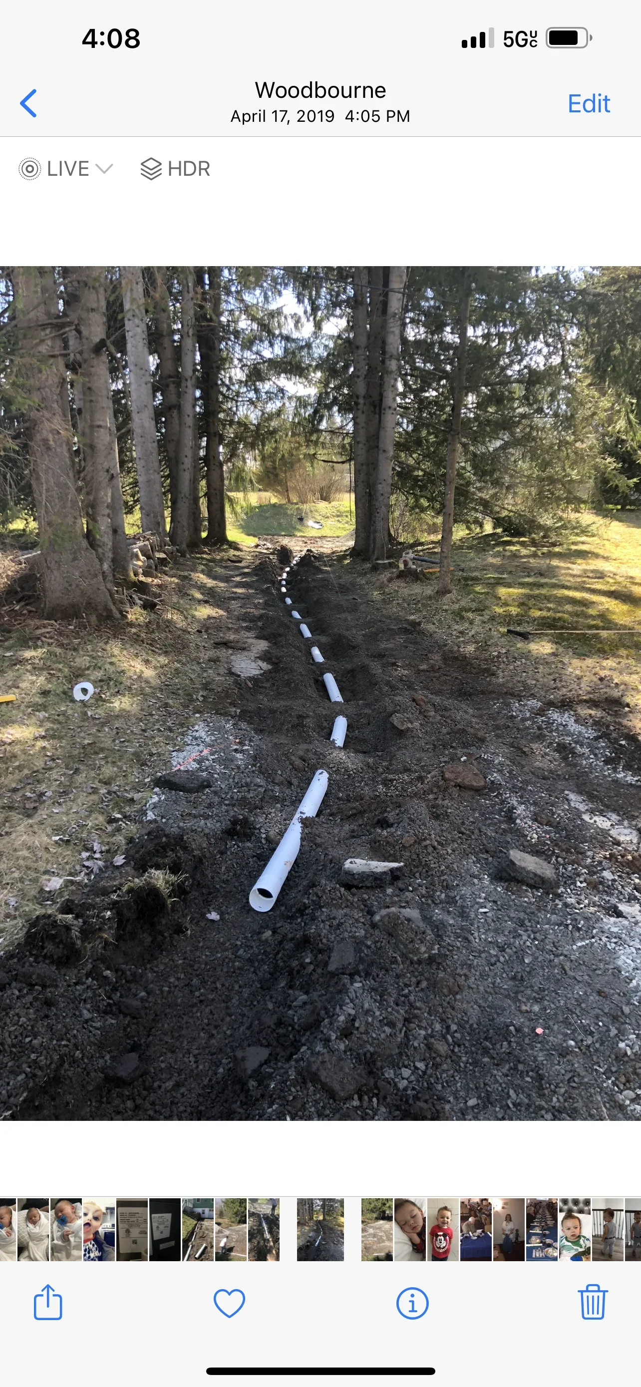 White PVC drainage pipes installed in trench through wooded area with tall trees