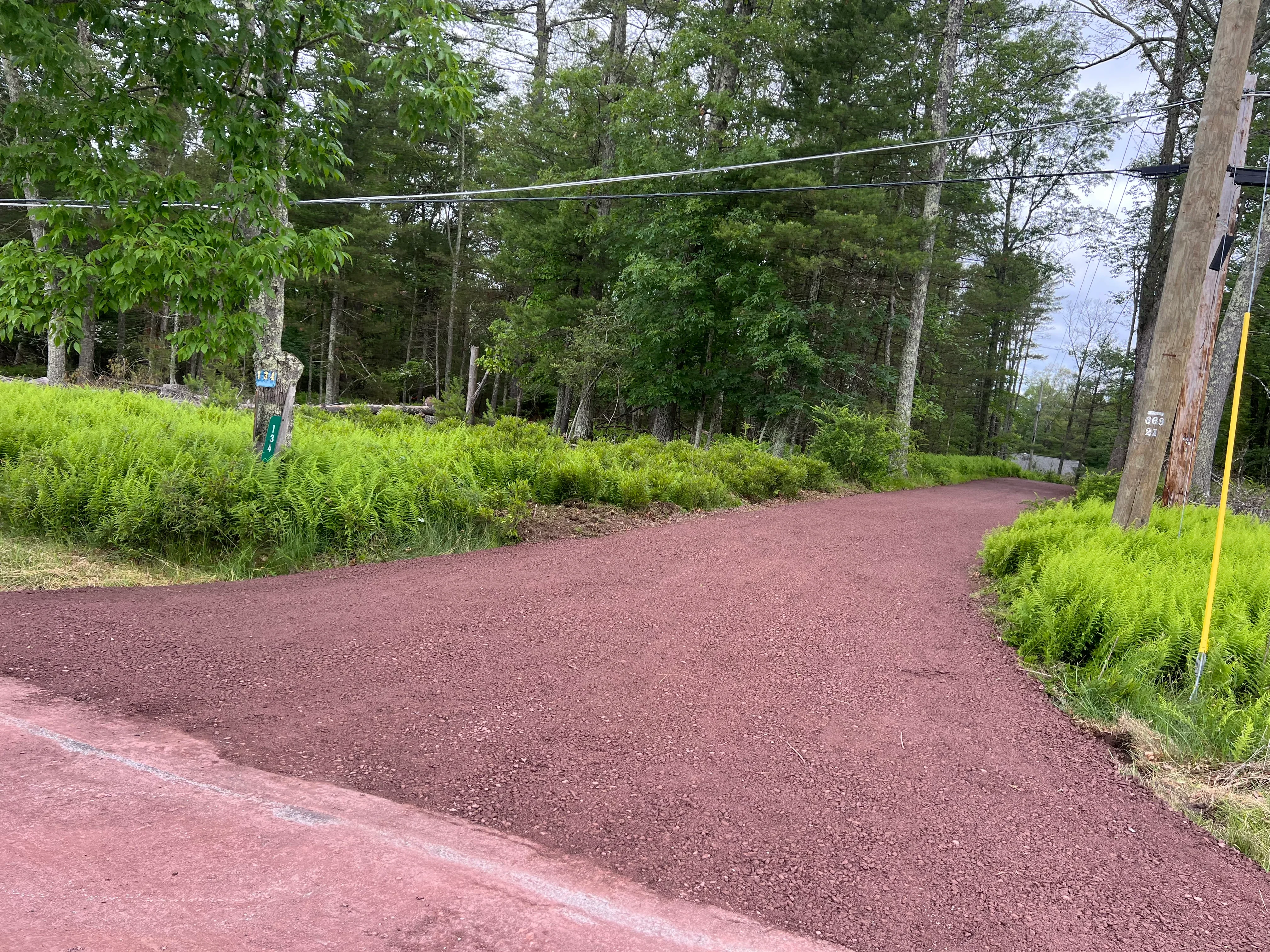 New asphalt driveway with dark paving material and landscaped fern borders