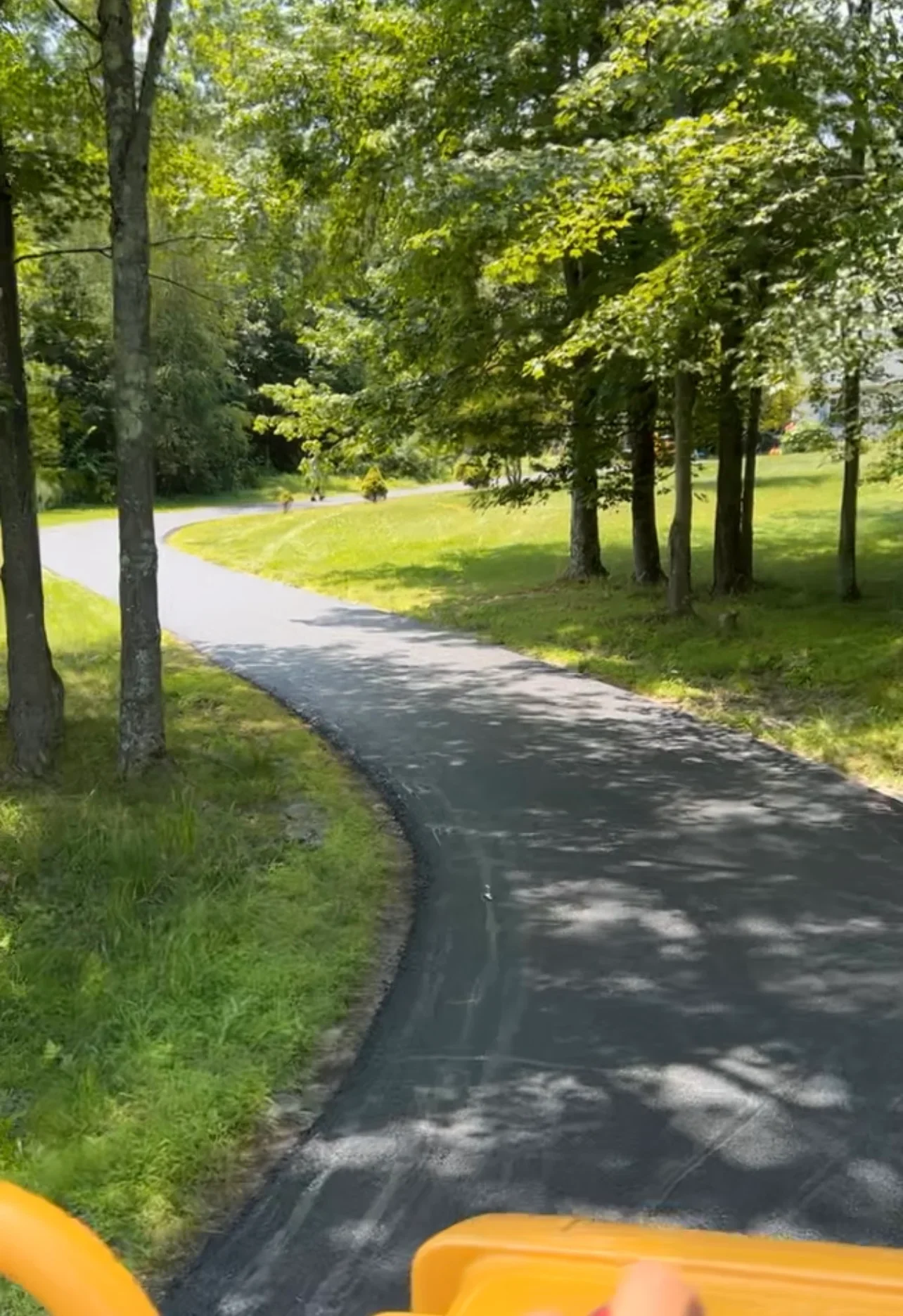 Curved black asphalt driveway with edge edging through wooded property with mature trees